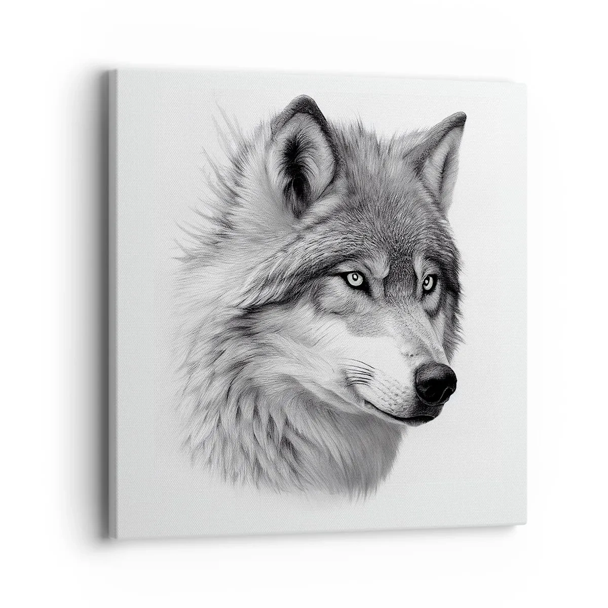 Obraz na plátně - Alfa – bezpochybně - 40x40 cm