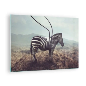 Obraz na skle - Zebra na trávě pozadí s detaily surrealistické antény - 70x50cm - Pozor! Porucha - Moderní nástěnná dekorace do obývacího pokoje a ložnice ARTTOR