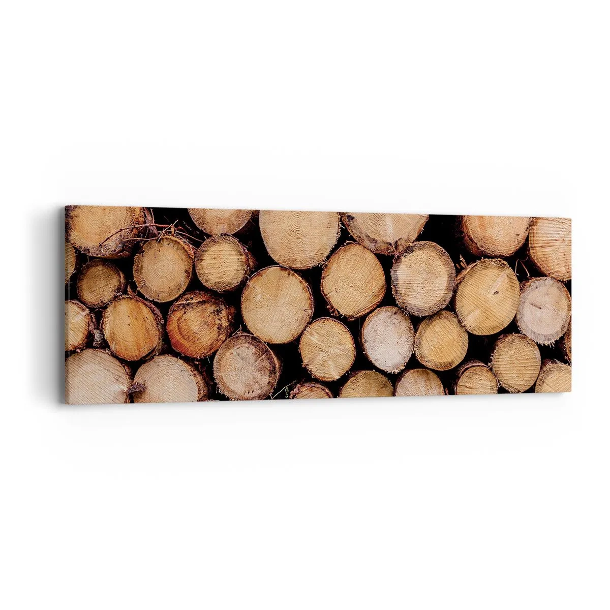 Obraz na plátně - Nový začátek - 90x30 cm