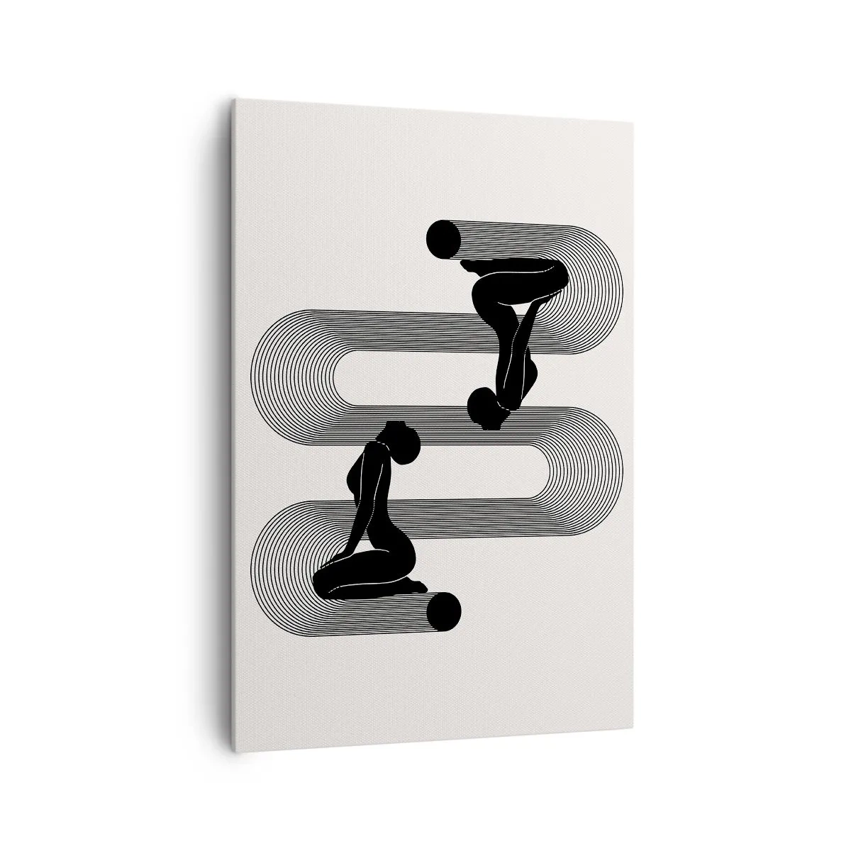 Obraz na plátně - Smyslná symetrie - 70x100 cm