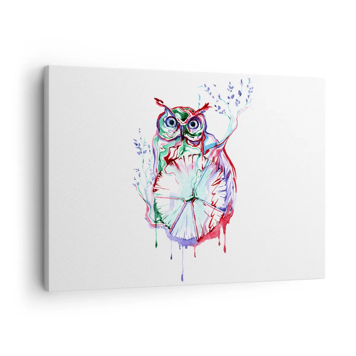 Obraz na plátně - Barevná akvarelová sova v uměleckém stylu - 70x50cm - Moudrost z přírody - Moderní nástěnná dekorace do obývacího pokoje a ložnice ARTTOR