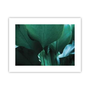 Plakát - Obrácené ke světlu - 40x30 cm