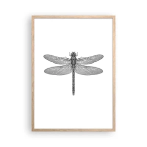 Plakát v rámu světlý dub - Přesnost přírody - 50x70 cm