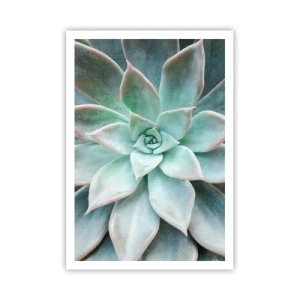 Plakát - Srdce pouště - 70x100 cm