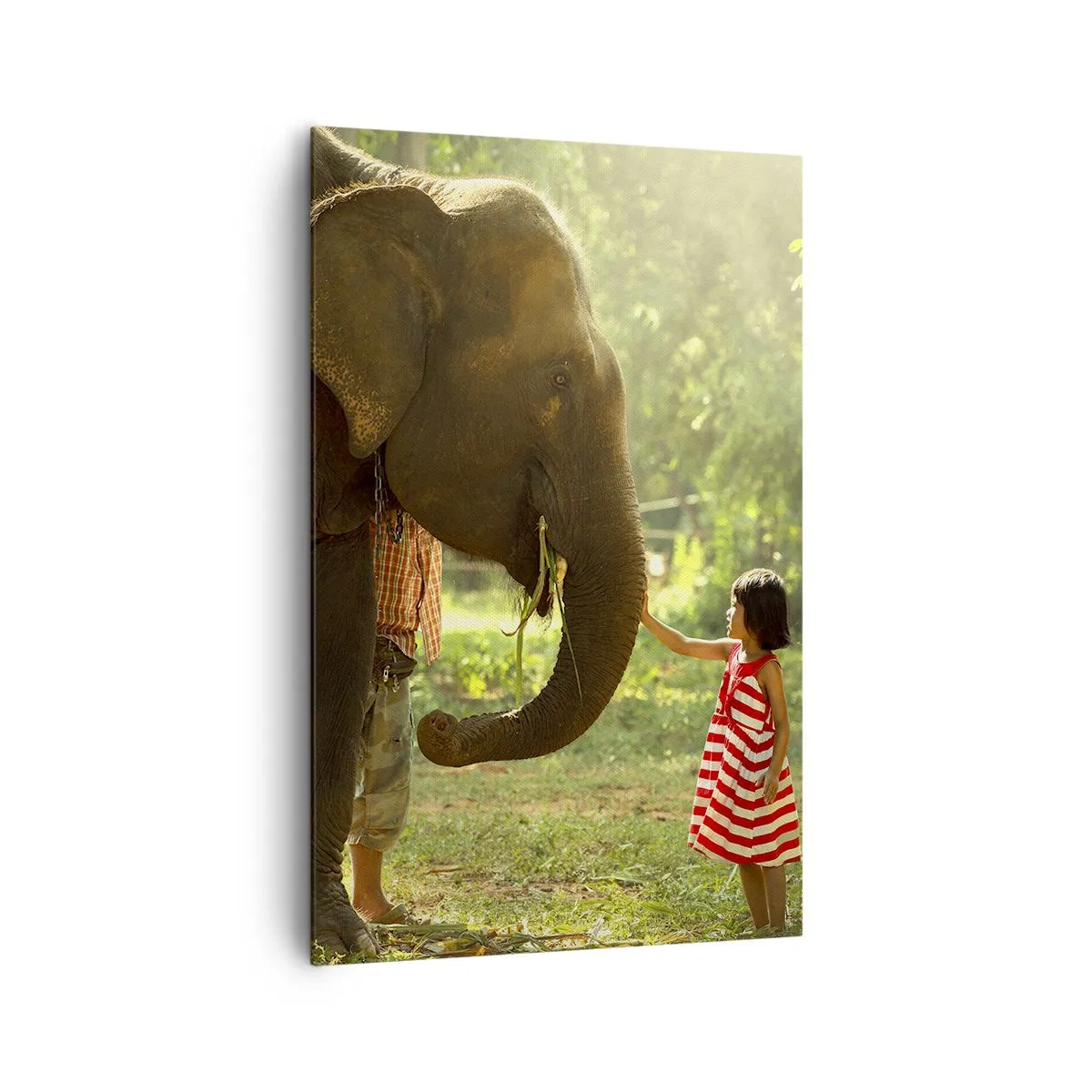 Obraz na plátně - Síla přátelství - 80x120 cm