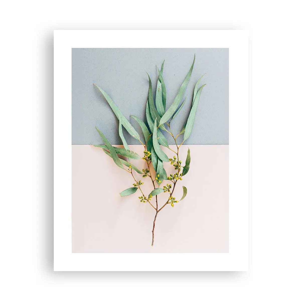 Plakát - Pastelová jemnost - 40x50 cm