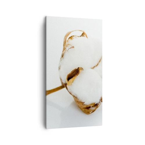 Obraz na plátně - Měkká od přírody - 45x80 cm