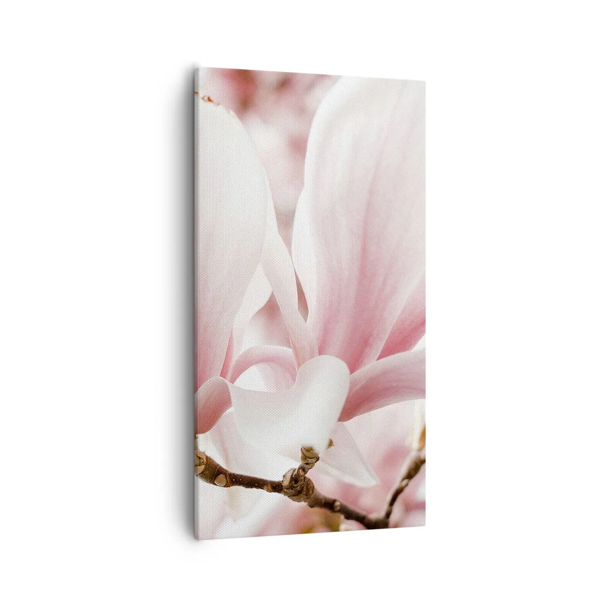 Obraz na plátně - Nesmírnost něžnosti - 55x100 cm