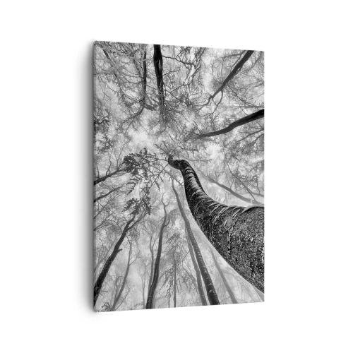 Obraz na plátně - Závod ke světlu - 50x70 cm