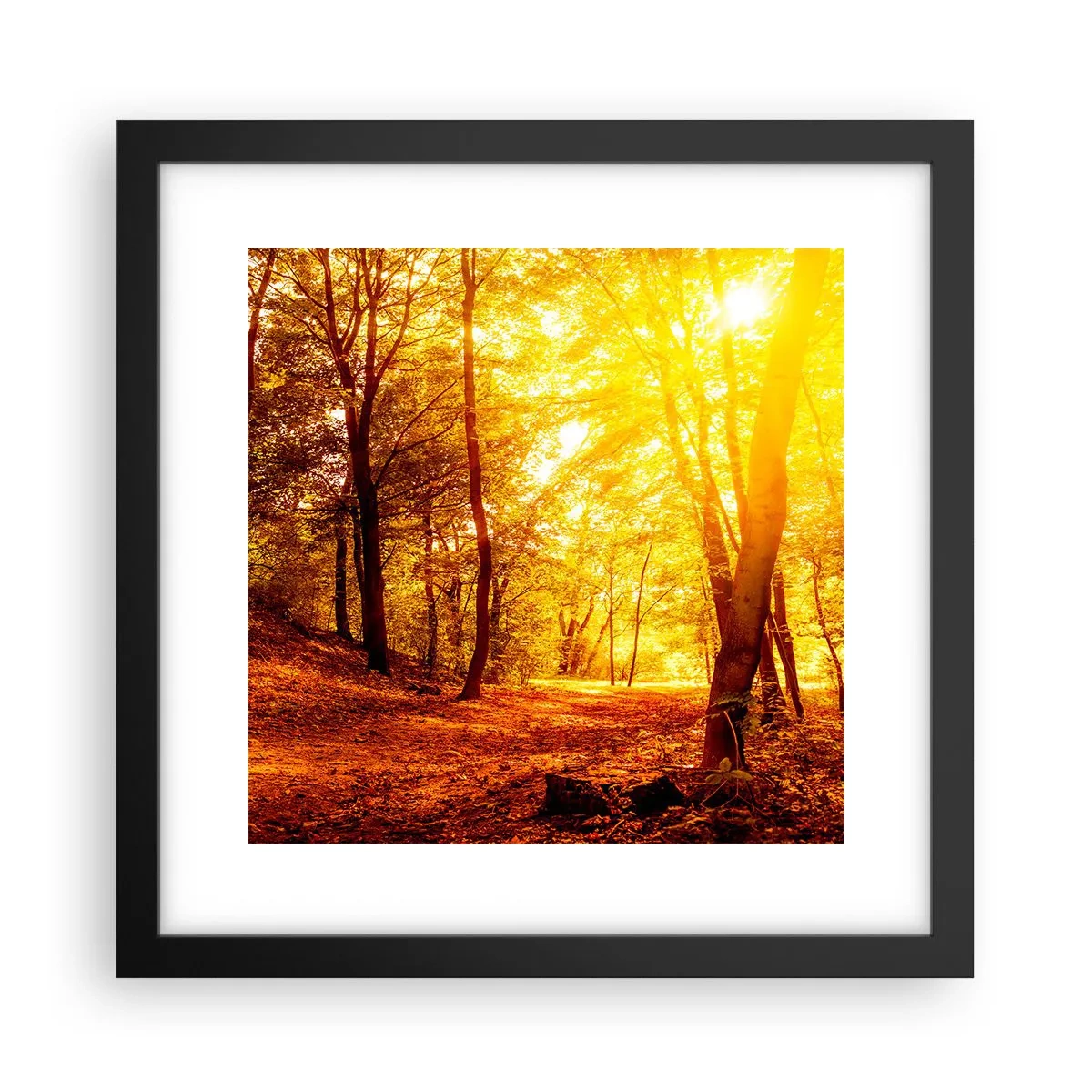 Plakát v černém rámu - Ke zlaté mýtině - 30x30 cm
