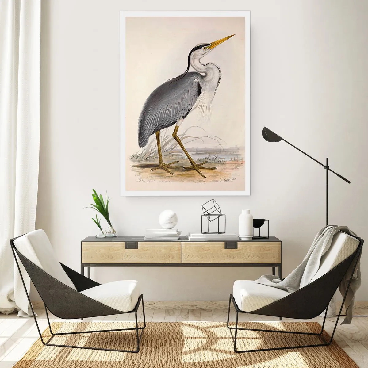 Plakát - Půvab volavky - 50x70 cm