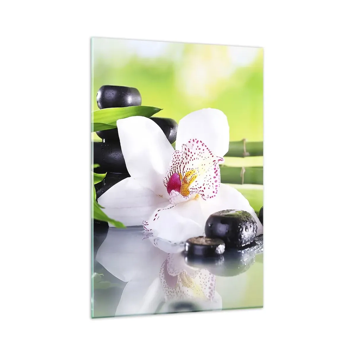 Obraz na skle - Chladná svěžest - 80x120 cm