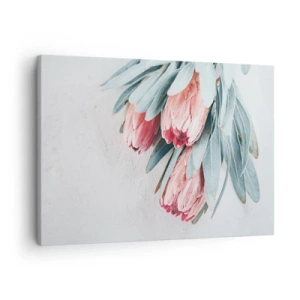 Obraz na plátně - Jemné růžové květy protey na světlém pozadí - 70x50cm - Zahanbené svou vlastní krásou - Moderní nástěnná dekorace do obývacího pokoje a ložnice ARTTOR