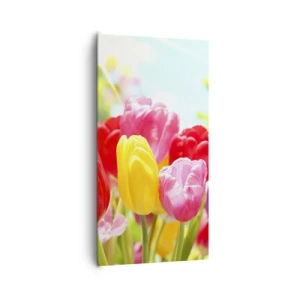 Obraz na plátně - To jsme my, barvy května! - 65x120 cm