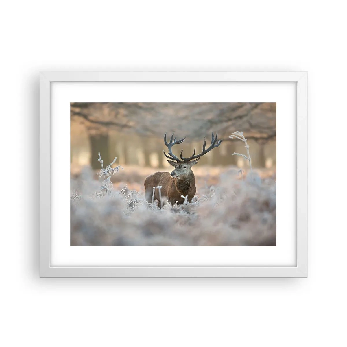 Plakát v bílém rámu - Svěží ráno - 40x30 cm