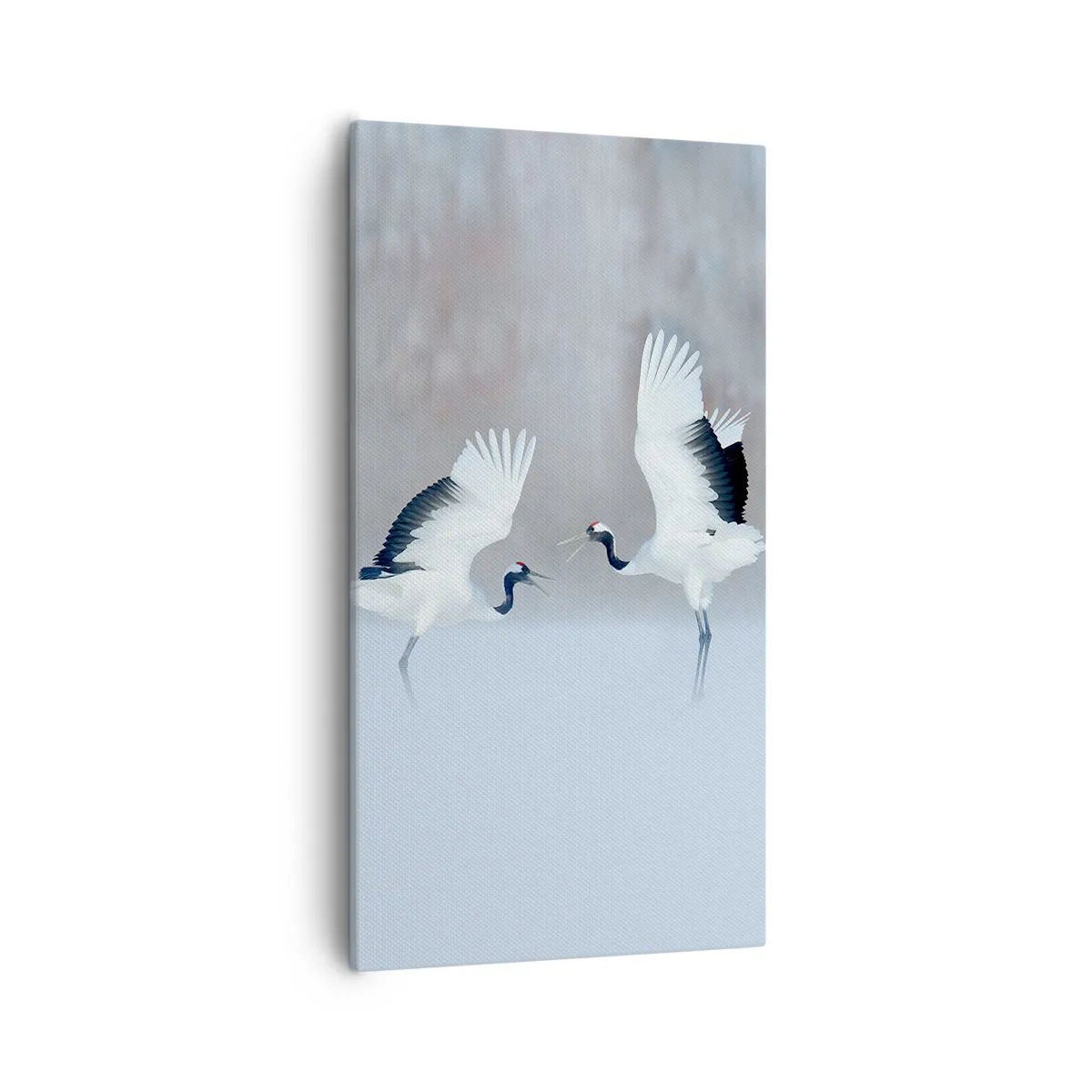 Obraz na plátně - Tanec v mlze - 55x100 cm