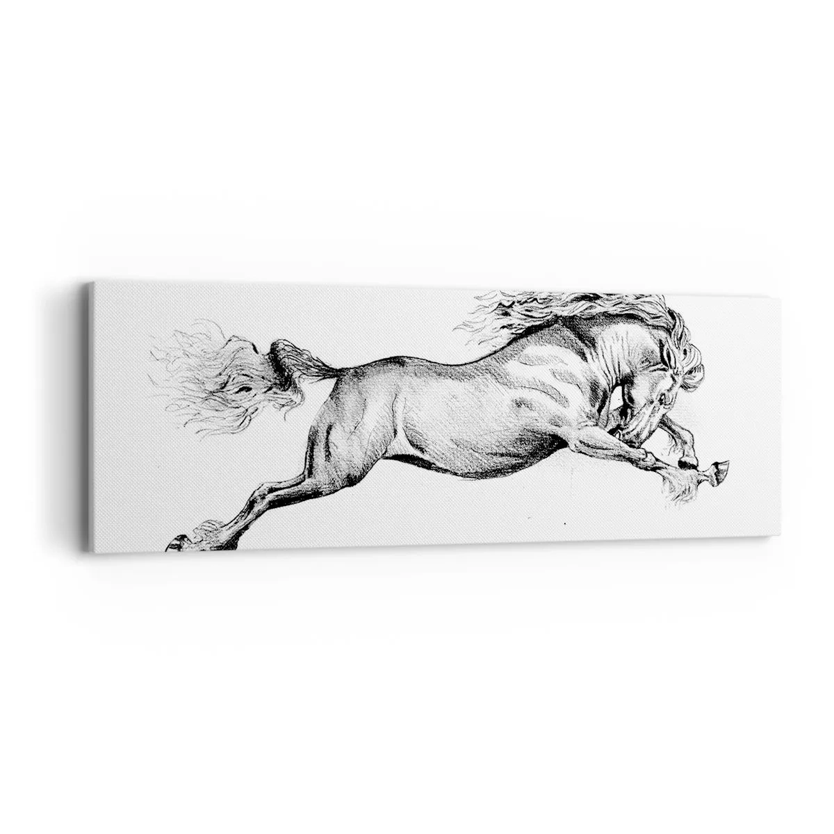 Obraz na plátně - Zastavený v cvalu - 90x30 cm