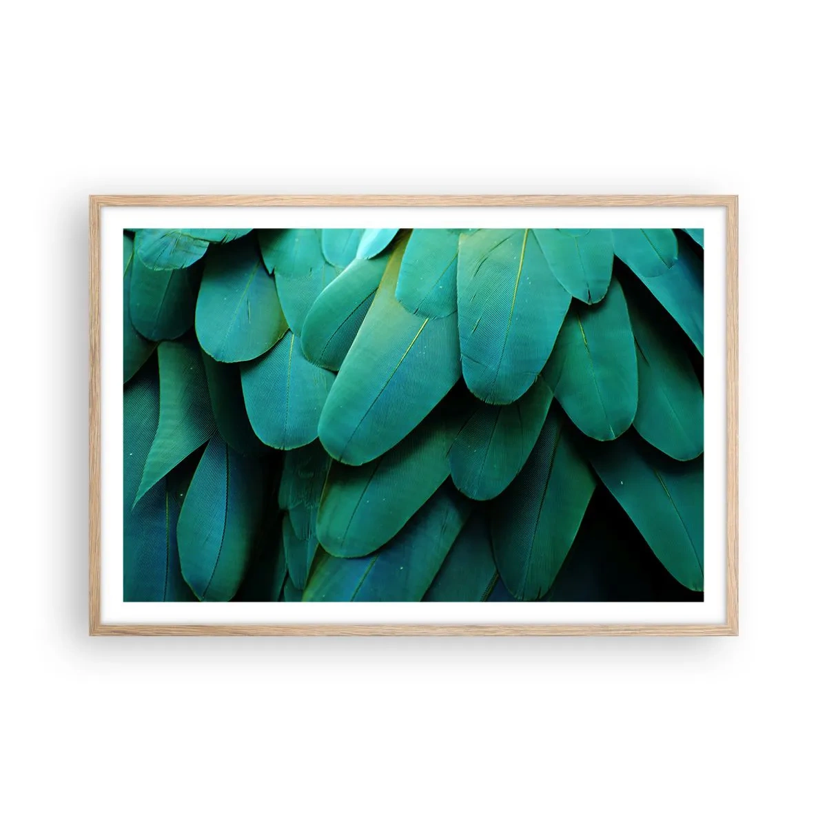 Plakát v rámu světlý dub - Přesnost papouščí povahy - 91x61 cm