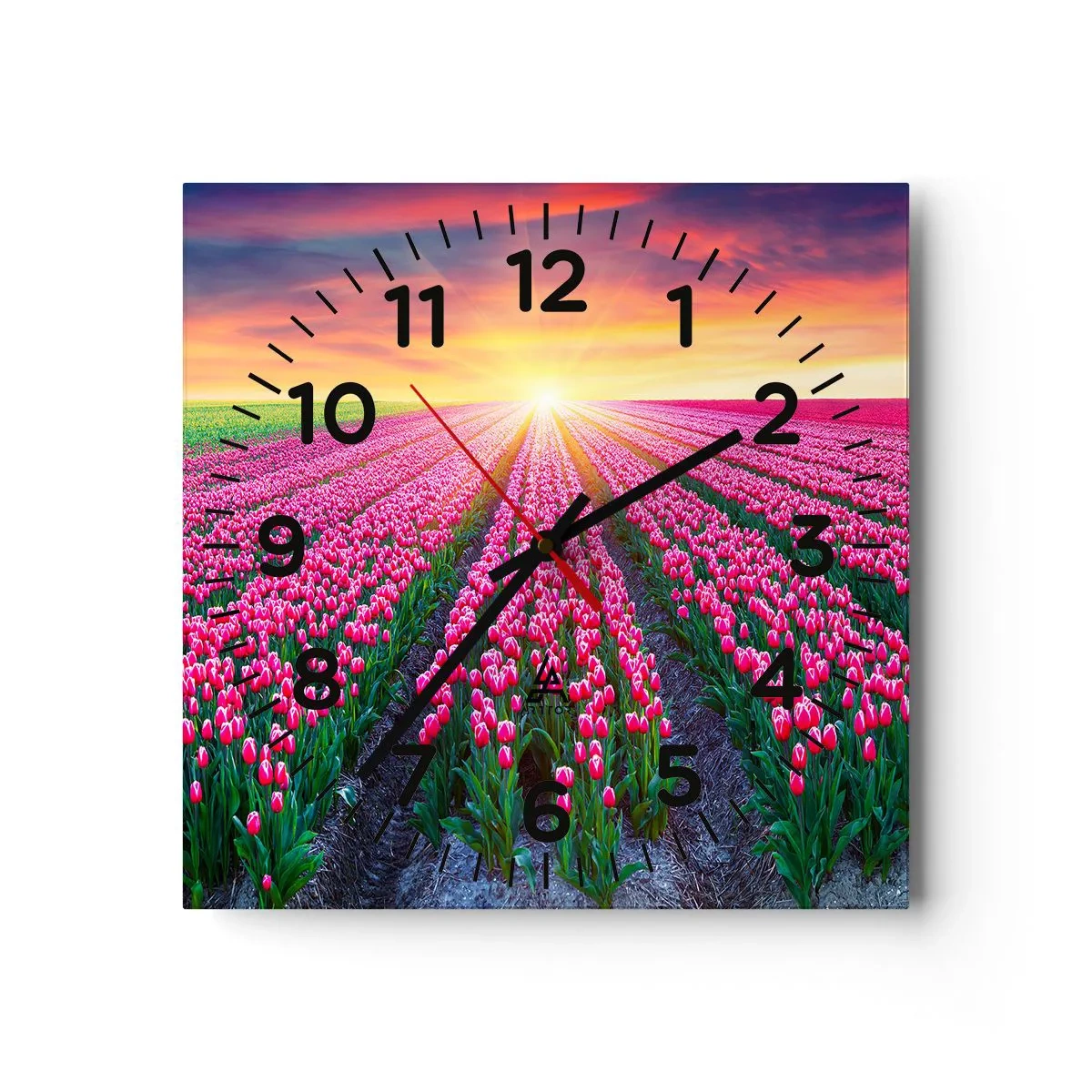 Nástěnné hodiny - Farma krásy - 40x40 cm