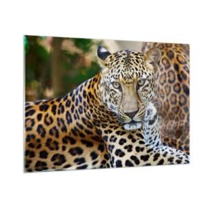 Obraz na skle - Divoký a klidný - 100x70 cm