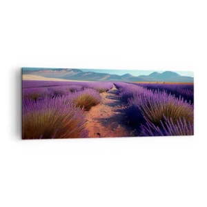Obraz na plátně - Voňavá pole - 140x50 cm