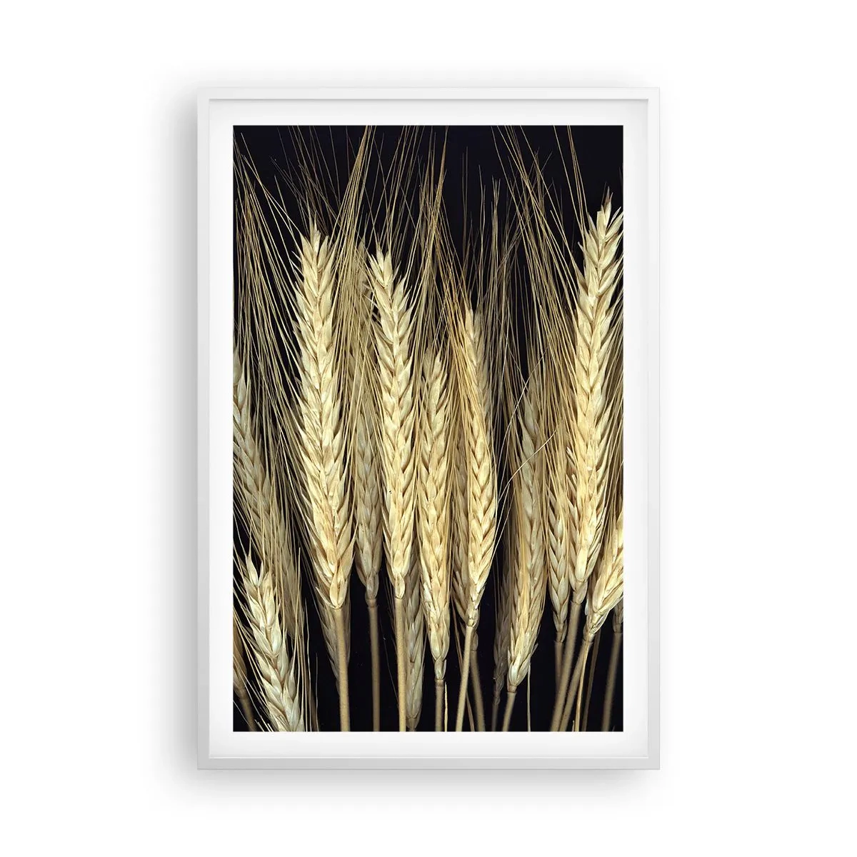 Plakát v bílém rámu - Rustikální magie - 61x91 cm