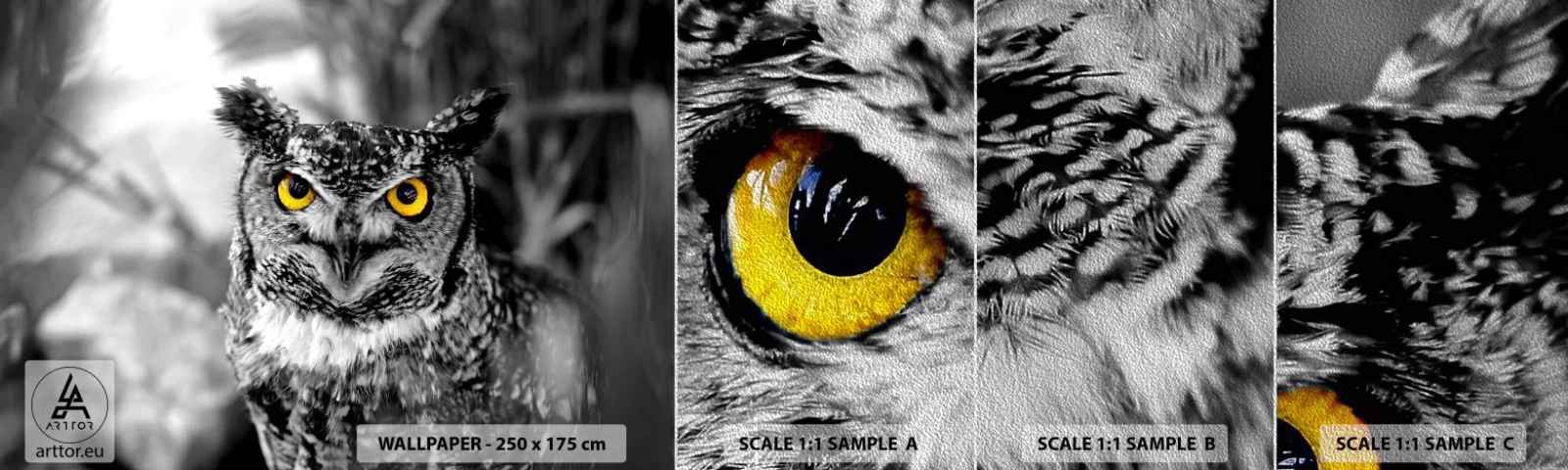 Vzor Fototapety Premium Sand - Nic se neschová - Ptactvo, Sova, Příroda - 100x30 cm