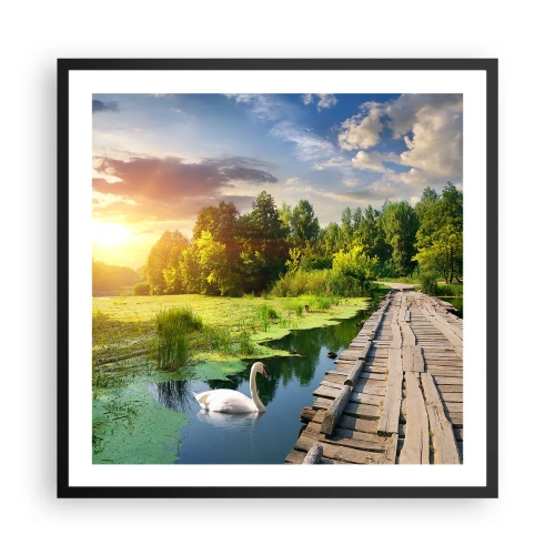 Plakát v černém rámu - Léto, léto všude - 60x60 cm