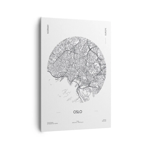 Obraz na plátně - Anatomie Osla - 70x100 cm