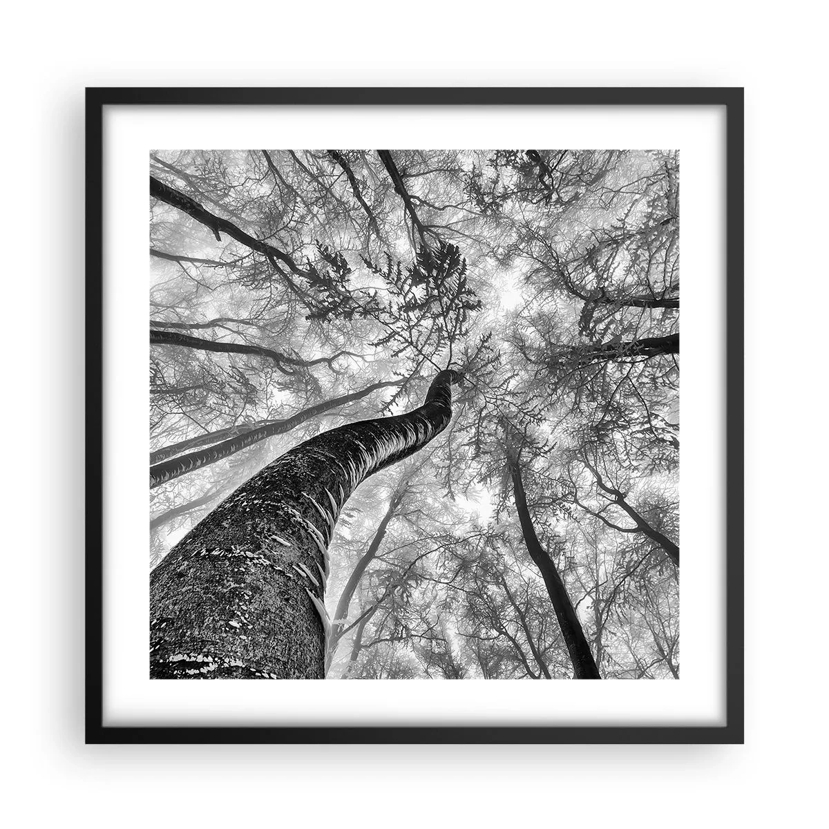 Plakát v černém rámu - Závod ke světlu - 50x50 cm