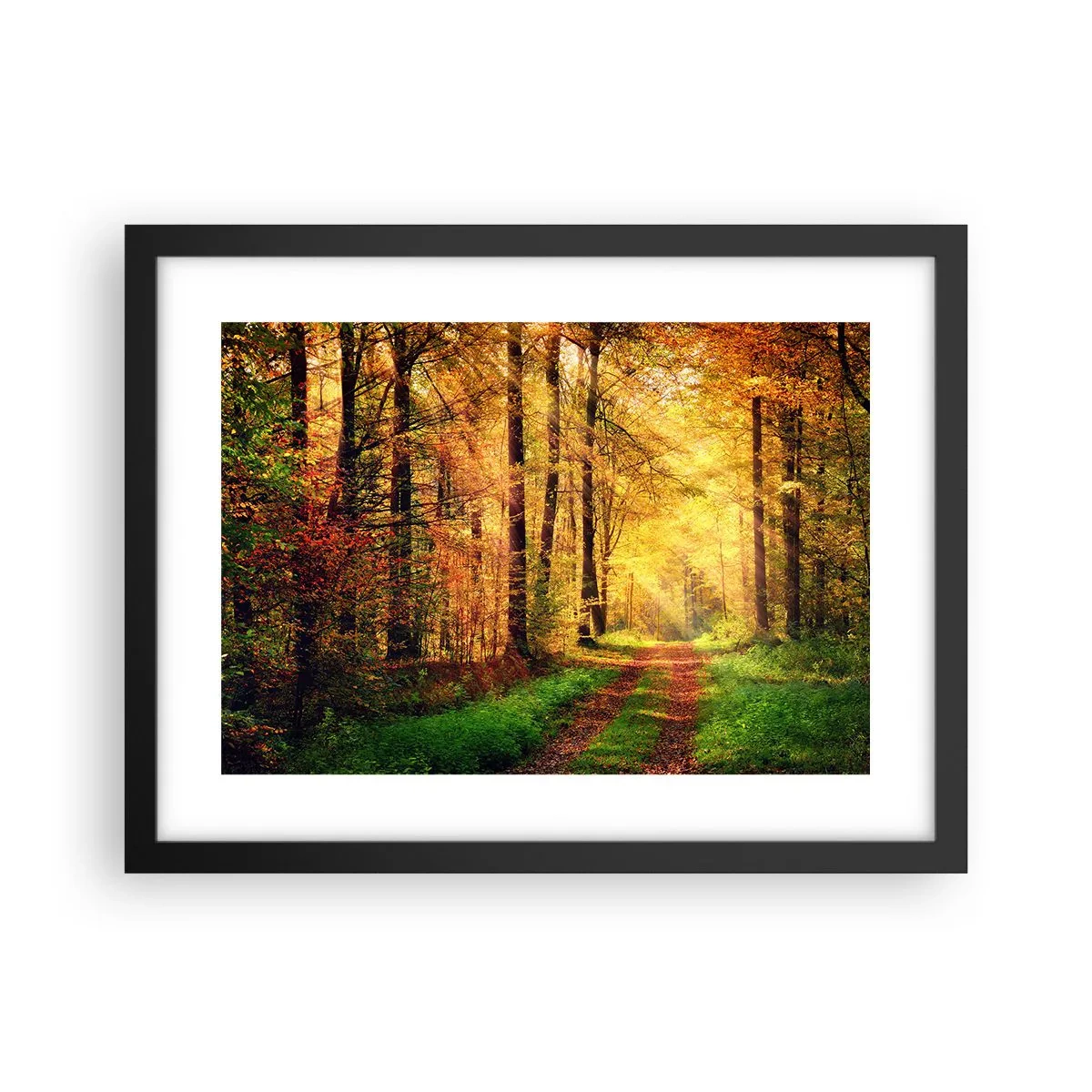 Plakát v černém rámu - Lesně-zlaté ticho - 40x30 cm