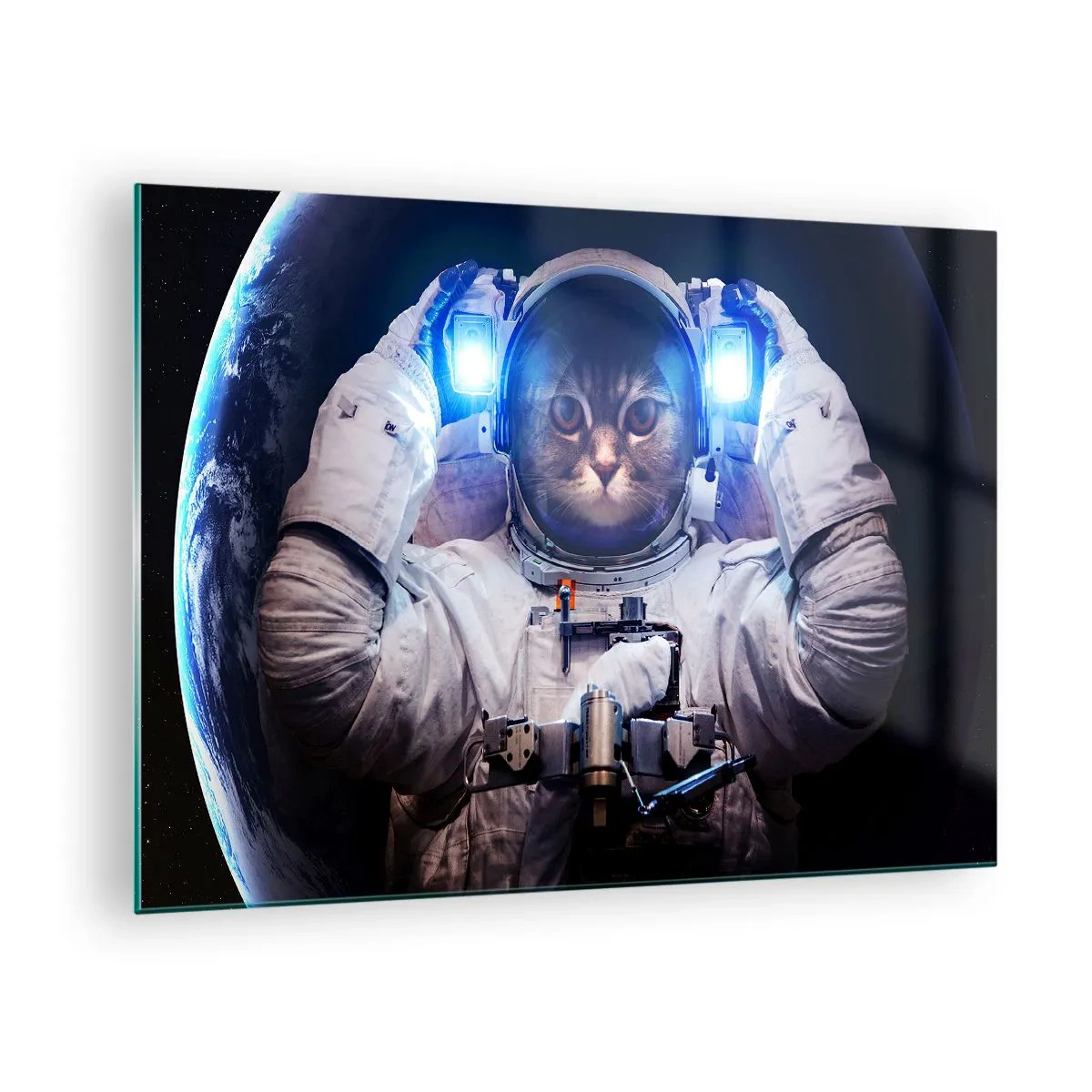 Obraz na skle - Kosmonaut s kočičí hlavou ve vesmíru - 70x50cm - Houston, máte problém - Moderní nástěnná dekorace do obývacího pokoje a ložnice ARTTOR