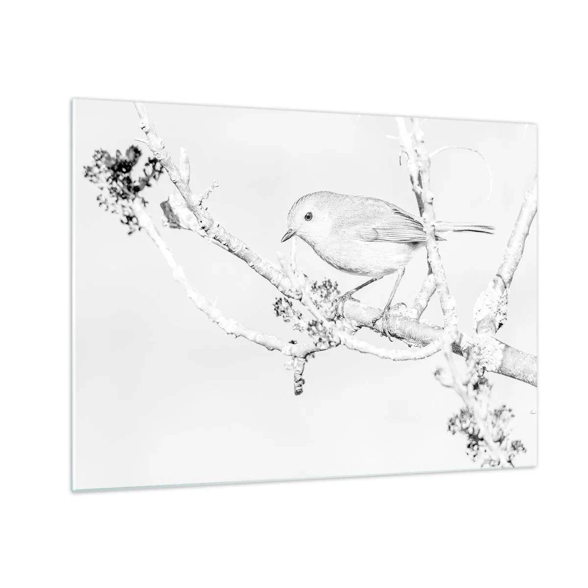 Obraz na skle - Pták sedící na větvi v monochromatické zimní scéně. - 70x50cm - Zimní ráno - Moderní nástěnná dekorace do obývacího pokoje a ložnice ARTTOR