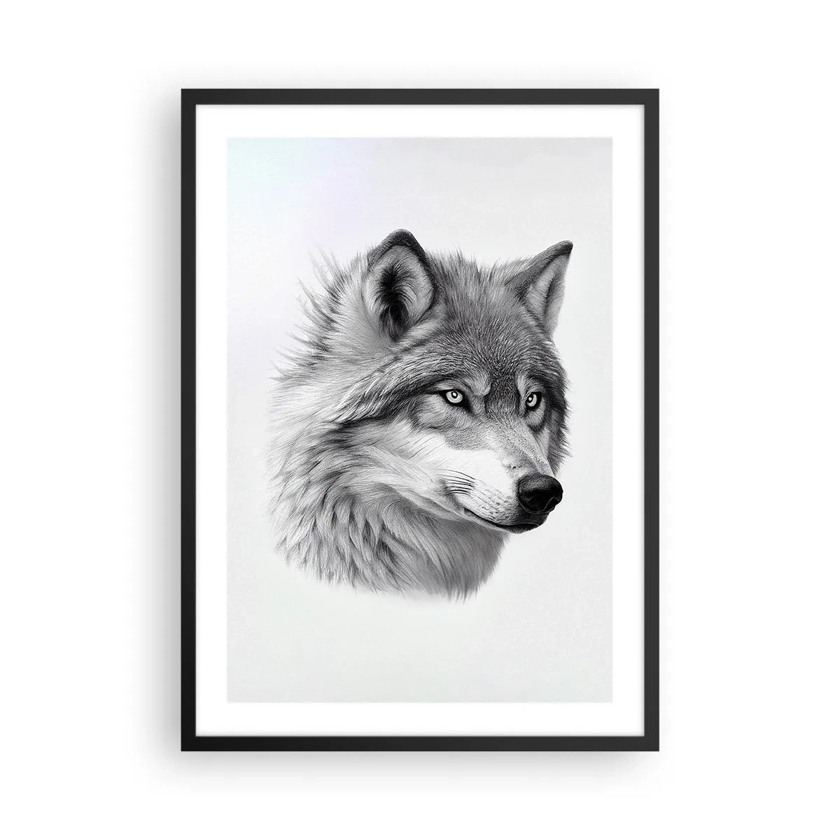 Plakát v černém rámu - Realistický portrét vlka v odstínech šedé. - 50x70cm - Alfa – bezpochybně - Moderní nástěnná dekorace do obývacího pokoje a ložnice ARTTOR