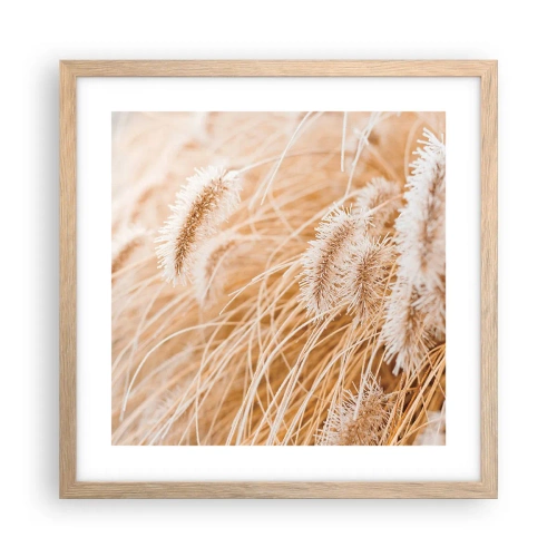 Plakát v rámu světlý dub - Zlaté šustění travin - 40x40 cm