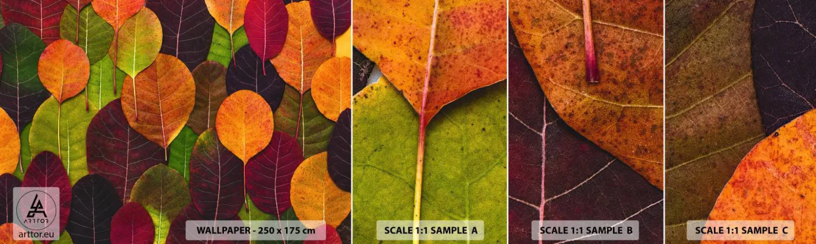 Fototapeta Vzorek Standard Eco - Podzimní mozaika - Grafika, Barevné listy, Kus - 100x30 cm