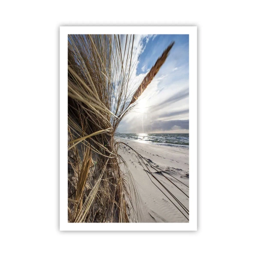 Plakát - Setkání živlů - 61x91 cm