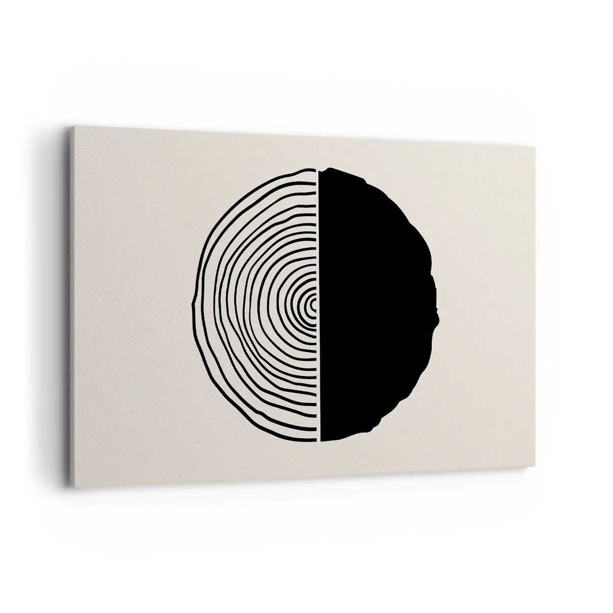 Obraz na plátně - Půl na půl - 120x80 cm