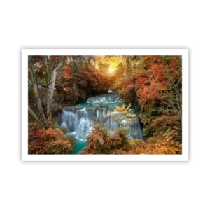 Plakát - Ukrytý poklad lesa - 91x61 cm