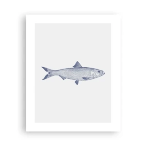 Plakát - Pozdravy ze severních moří - 40x50 cm