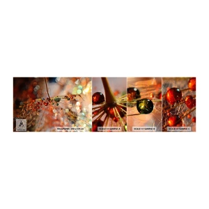 Fototapeta Vzorek Standard Eco - Navlečeno na pavučinu - Abstrakce, pavoučí síť, Kus - 100x30 cm