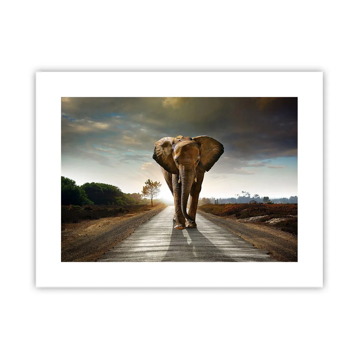 Plakát - A vůbec ne ve skladu porcelánu - 40x30 cm