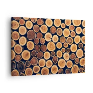 Obraz na plátně - Vzor z průřezů dřevěných polen - 70x50cm - Na kolik vypadám? - Moderní nástěnná dekorace do obývacího pokoje a ložnice ARTTOR