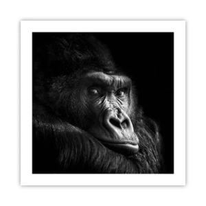 Plakát - Na co tak koukáš? - 50x50 cm