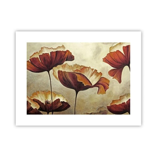 Plakát - Lán louky - 40x30 cm