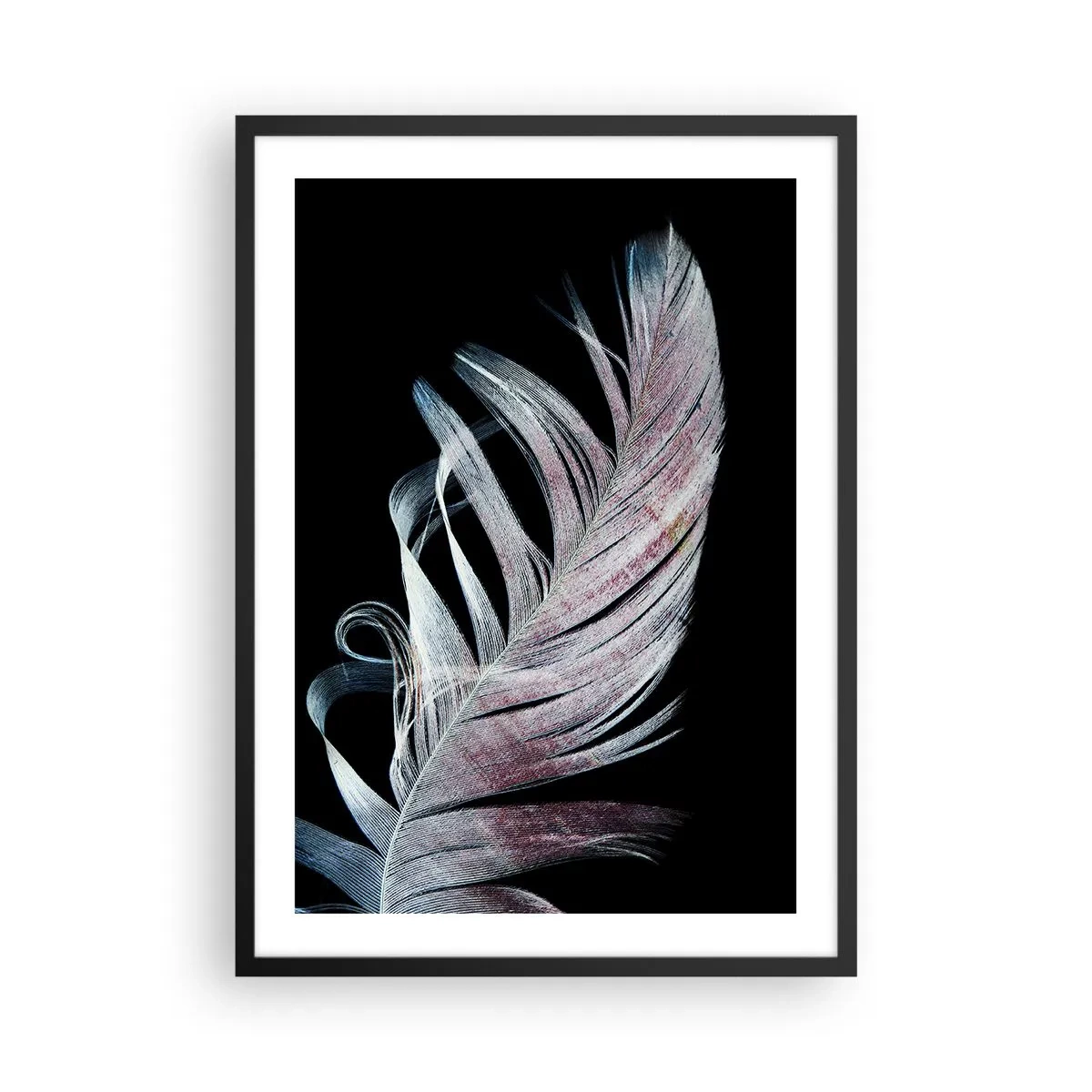 Plakát v černém rámu - Peří v jemných odstínech růžové a modré na černém pozadí - 50x70cm - Přemýšlejte o dotyku - Moderní nástěnná dekorace do obývacího pokoje a ložnice ARTTOR