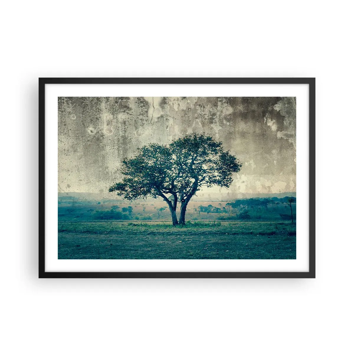 Plakát v černém rámu - Jabloň na modrém poli? - 70x50 cm