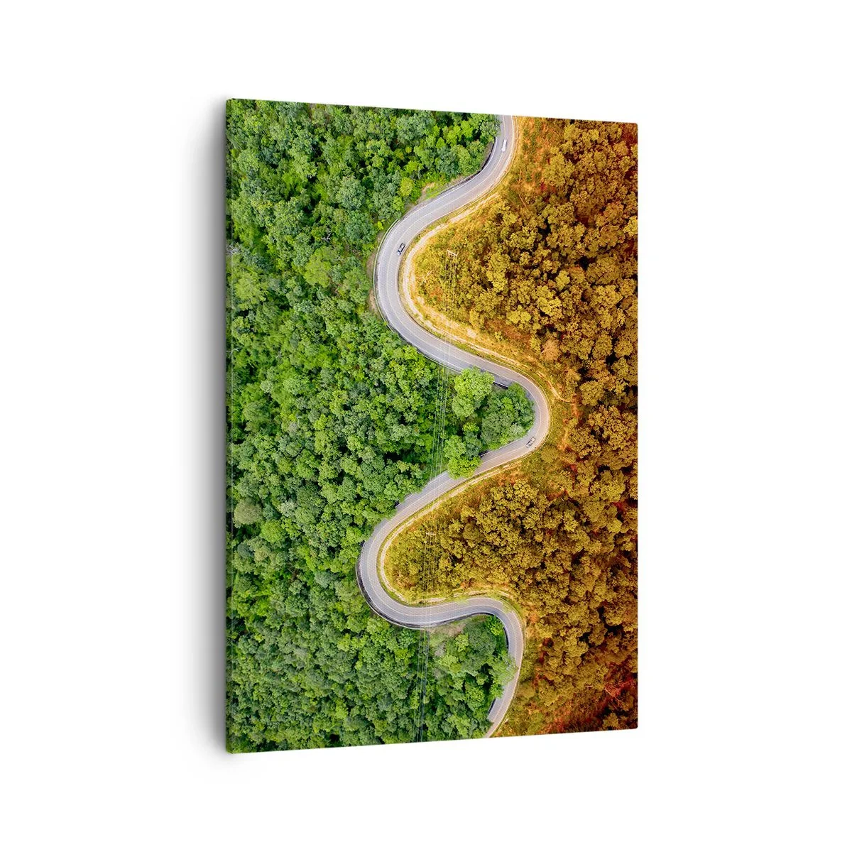 Obraz na plátně - Hranice a průlomy - 50x70 cm