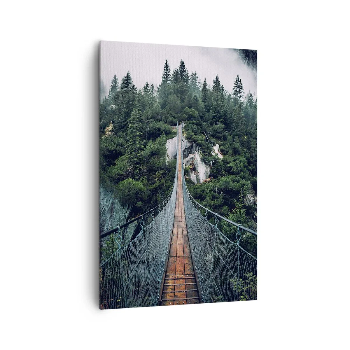 Obraz na plátně - Pouze pro orly - 80x120 cm