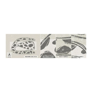 Fototapeta Vzorek Standard Eco - Bizarní bytost - Boho, Minimalismus, Jasný - 100x30 cm
